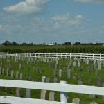 2017OTRA-1_427 (August 24, 2017)